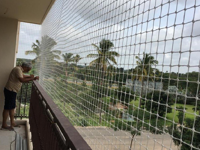 Bird Protection Nets in Mysore