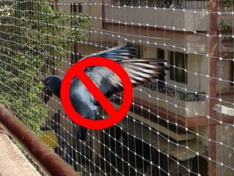 Pigeon Safety Nets for Balconies in Mysore