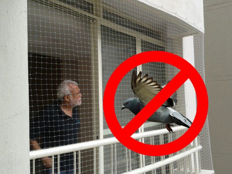 Pigeon Safety Nets in Mysore